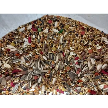 مخلوط پرندگان