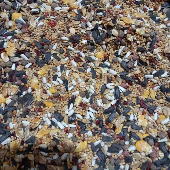 مخلوط‌ هلندی ۲