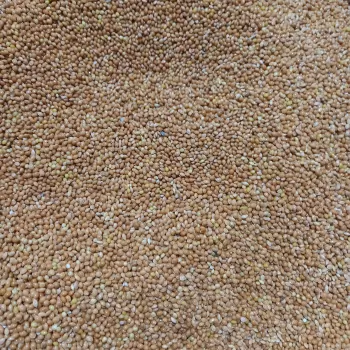 ارزن درشت خارجی