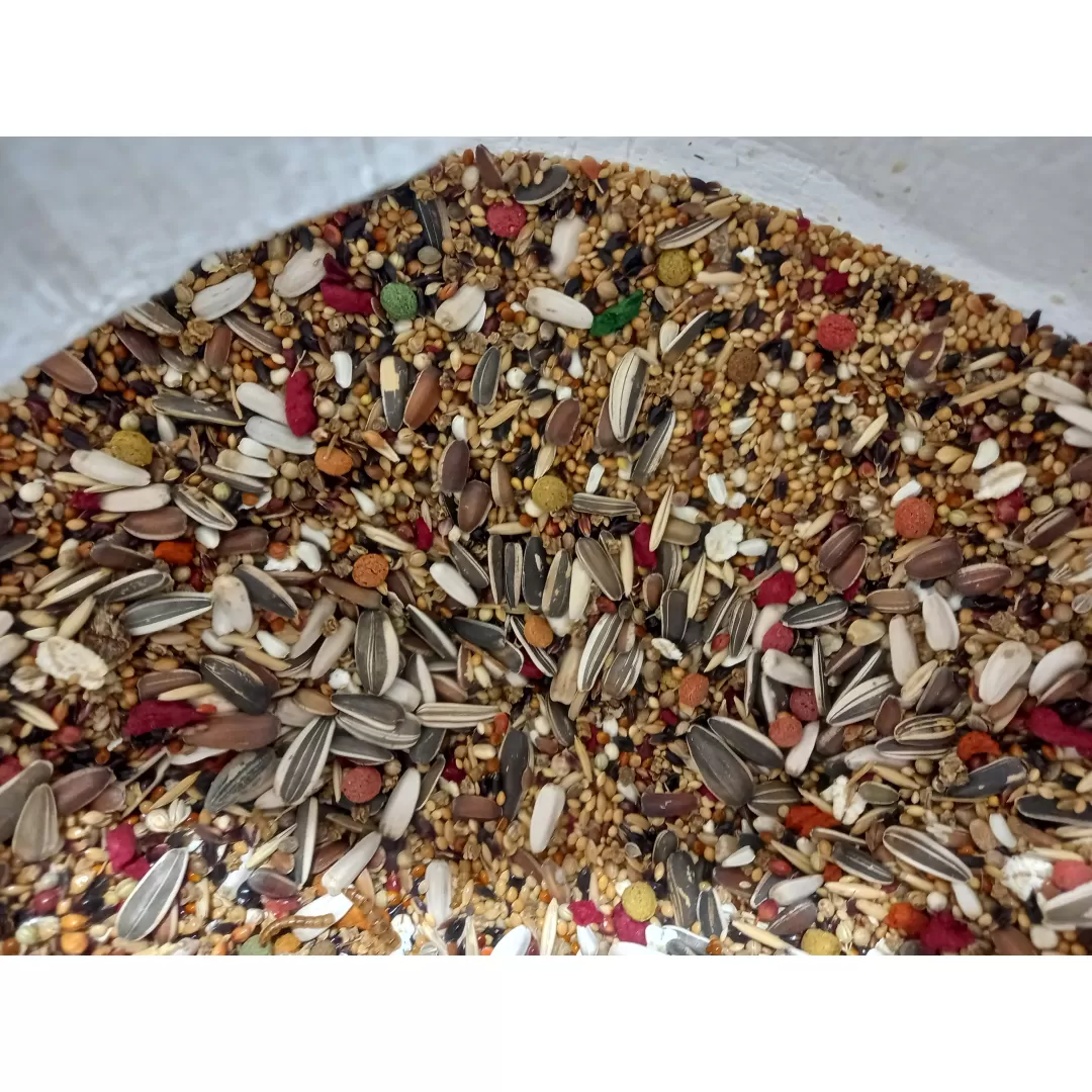 مخلوط پرندگان