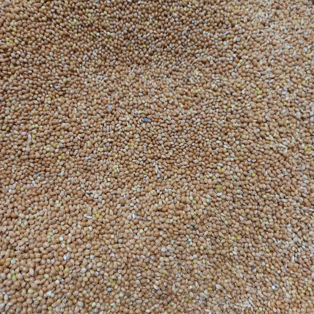 ارزن درشت خارجی