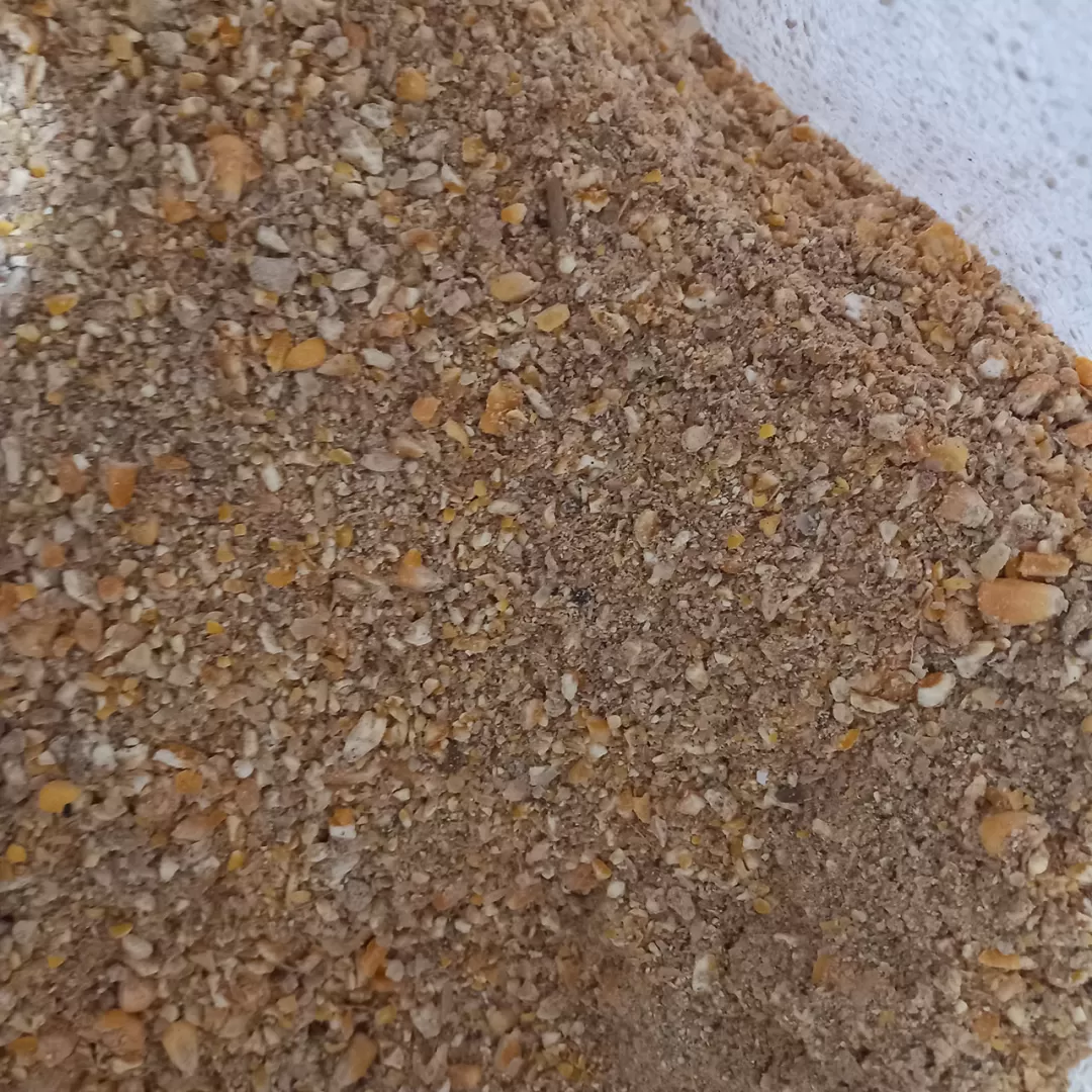 مخلوط مرغ تخم گذار